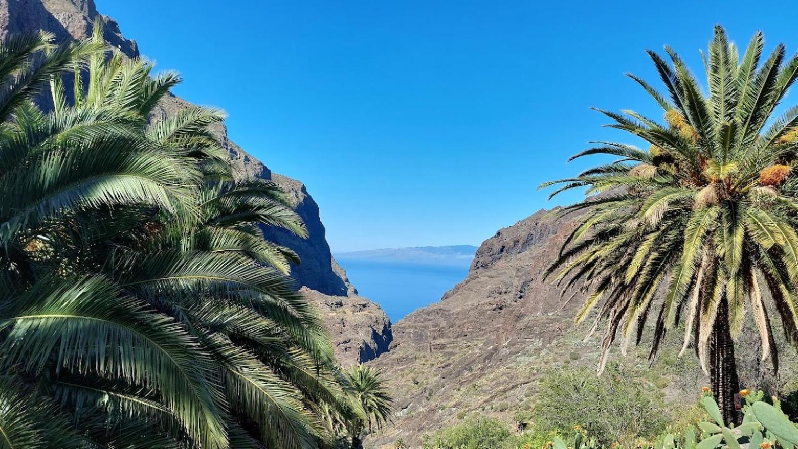 The Best Ocean View Βίλα Πλάγια ντε λας Αμέρικας Εξωτερικό φωτογραφία